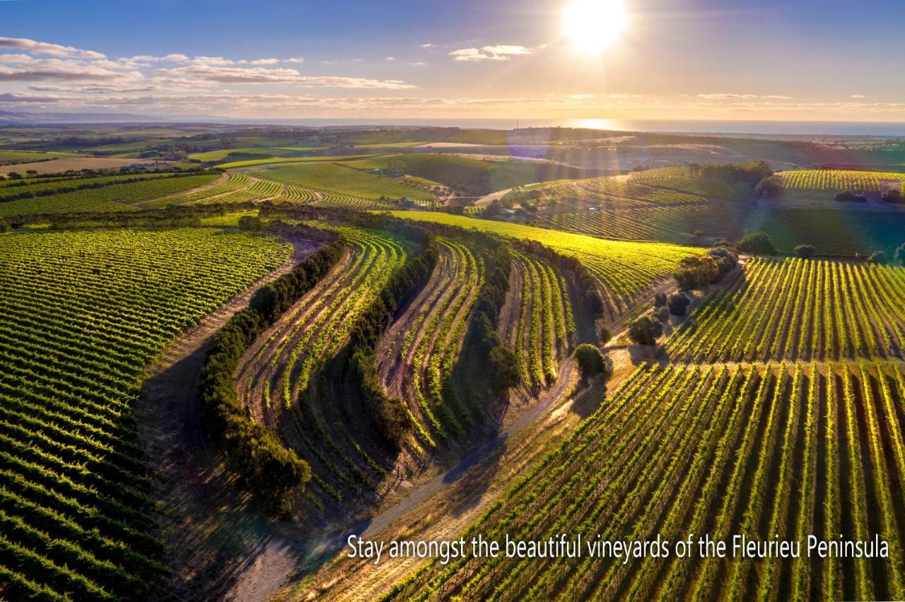 Sellicks Hill The Old Chaff Mill Organic Vineyard Retreat Bed & Breakfast エクステリア 写真