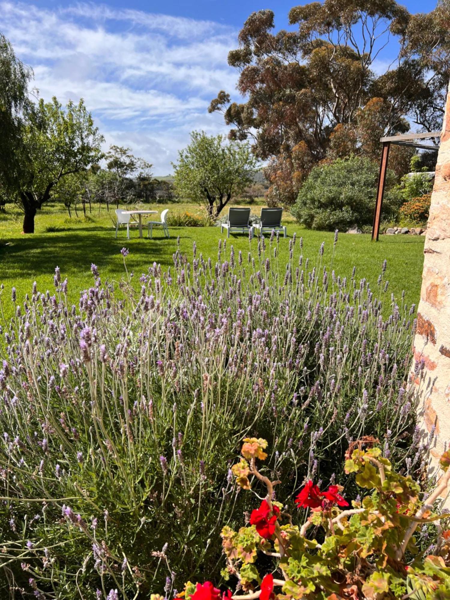 Sellicks Hill The Old Chaff Mill Organic Vineyard Retreat Bed & Breakfast エクステリア 写真
