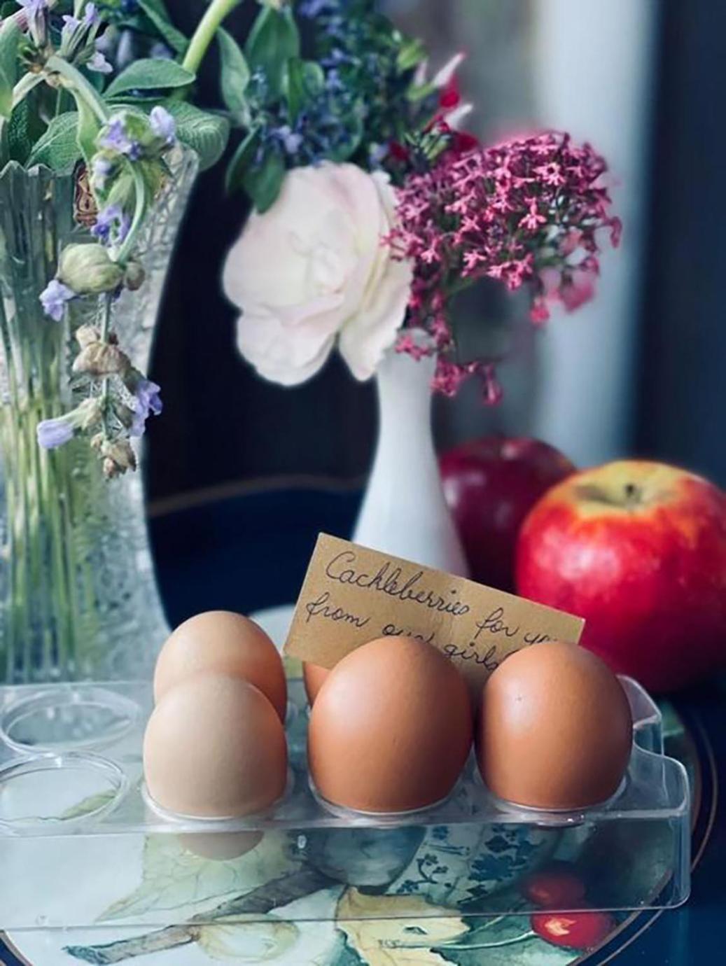 Sellicks Hill The Old Chaff Mill Organic Vineyard Retreat Bed & Breakfast エクステリア 写真